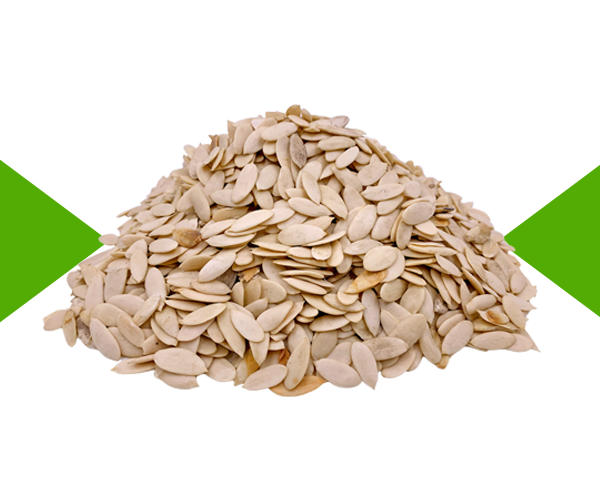 A picture of Egusi Seed