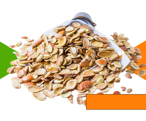 A picture of Ogbono Seed